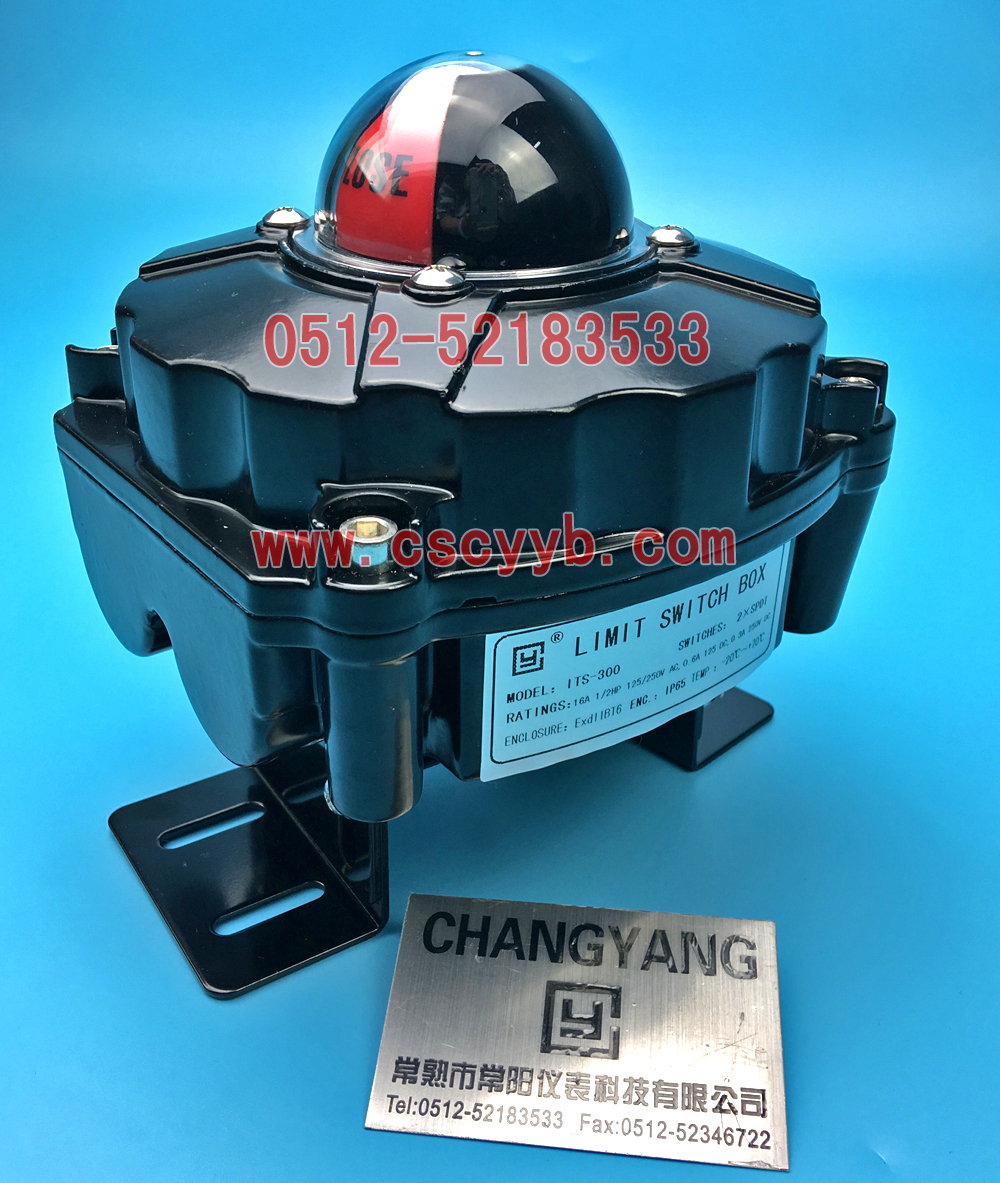 ITS300�y�T��Ӎ��